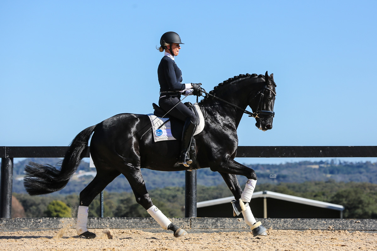 Braveaux_canter1 Braveaux_canter1