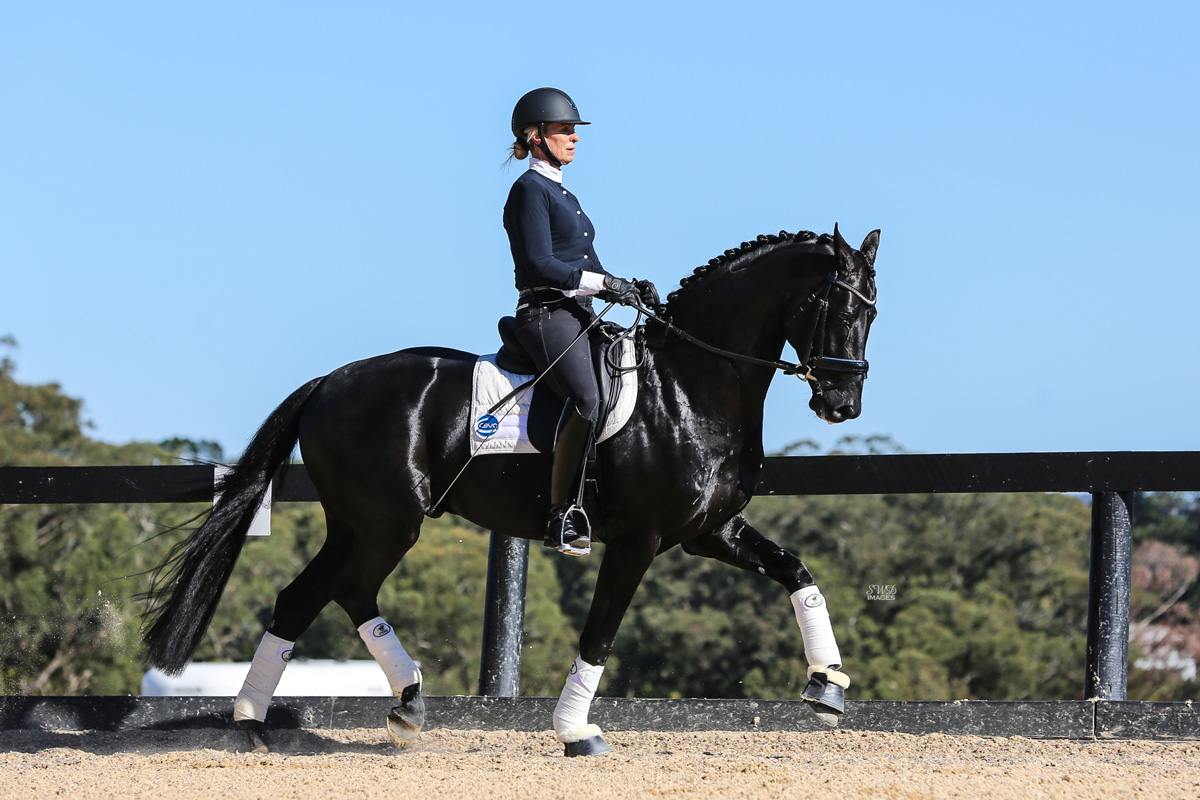 Braveaux_trot1 Braveaux_trot1
